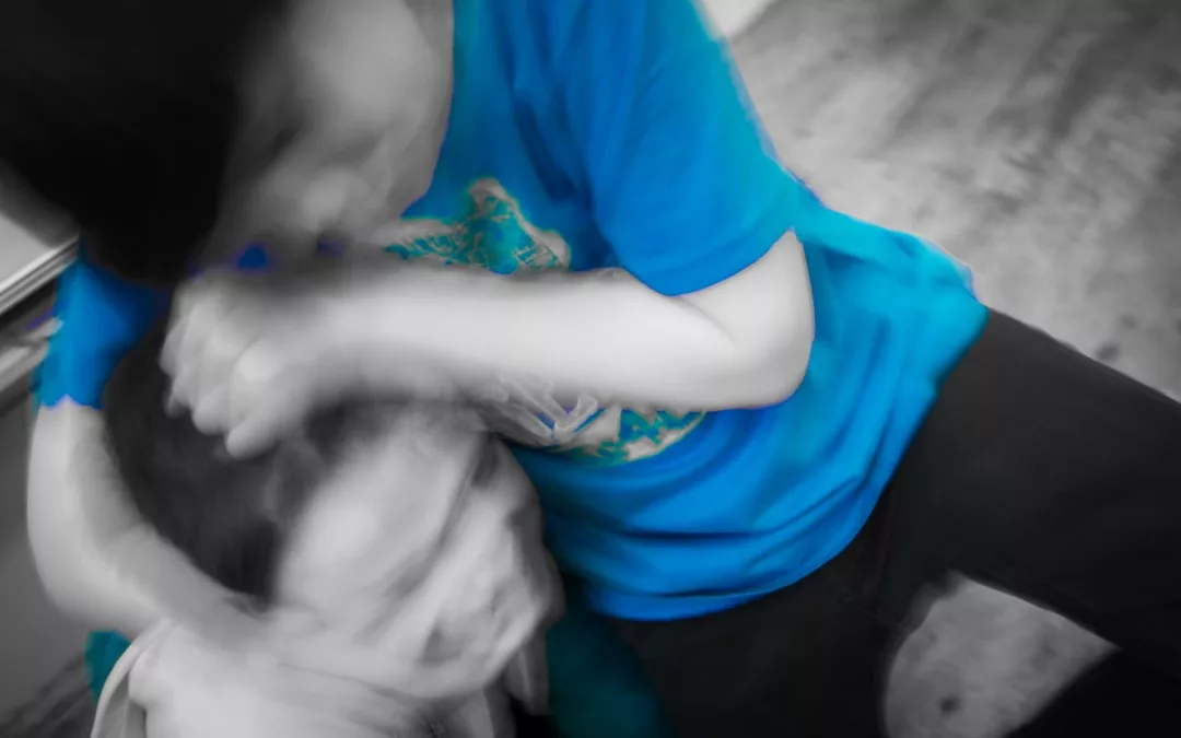 Co je to šikana?